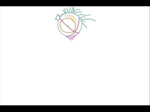 how to draw jthm characters