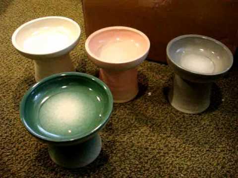 Classy Cat Dishes 5 Product Review by Floppycats 0 Classy Cat Dishes 5 Product Review by Floppycats