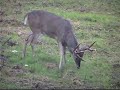 Tatum Plantation Deer Hunting Tatum Plantation Deer Hunting