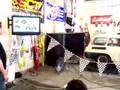 VW Squareback Dyno Test