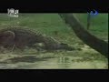 Fountains of the Sun _ ينابيع الشمس 2.wmv