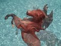 lone star my breyer lone star my breyer