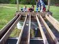 Vollmer Farm Duck Water Game