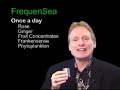 Frequensea and ForeverGreen mean Health and Wealth Frequensea and ForeverGreen mean Health and Wealth
