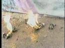 Godzilla II - Tacos to Go (part 2 of 4) Godzilla II - Tacos to Go (part 2 of 4)