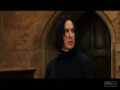 Severus & Lilly Severus & Lilly