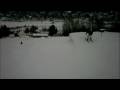Freestyle at Mont Ripley