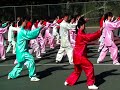 Tai Chi 24 Form Style