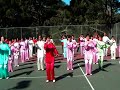 Tai Chi 24 Form Style