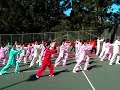 Tai Chi 24 Form Style