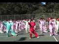 Tai Chi 24 Form Style