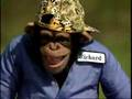 Monkey Bu...