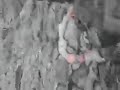 Hawaii Volcano Lava flowing