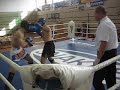 Nowy S?cz MP Low-Kick Marcin