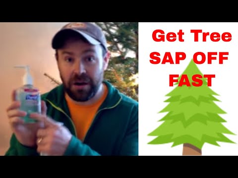 how to get tree sap out of clothes