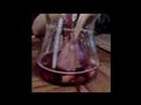 Guinness World Record of Sangria in Lloret del Mar