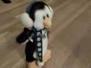 Animated penguin sings Sleigh RIDE while jumping and flipping wings...