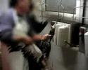 La verdad sobre el Foie Gras La verdad sobre el Foie Gras