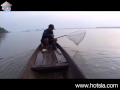 khong river fish(ปลาน้ำโขงจำปาสัก) - YouTube