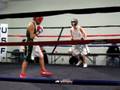 videos de Wiiliam's Fight