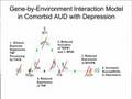 Comorbid Depression with Alcohol Use Disorder, Part 3