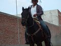EL PRESO NUMERO 9.wmv