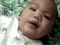 Fat Noah Fat Noah