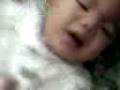 videos de Fat Noah