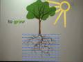 videos de Symbiosys