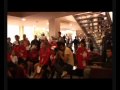 Ver Video
