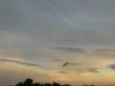 Volando en Perales del Rio con josecarlosp