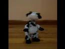 Vaca loca... Vaca loca...