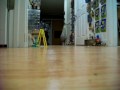 smapdi (hallway music).MOV