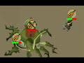 Runescape Kalphite Queen Dragon Chain Drop Runescape Kalphite Queen Dragon Chain Drop