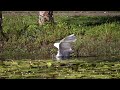 Видеообзор Tamron SP AF 70-300mm f/4.0-5.6 Di USD Minolta A