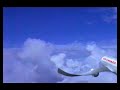Birdplane