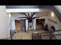 Click here to watch this video 