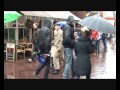 Invisible Dog 6.wmv