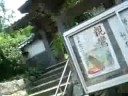 pacific venus ( TSURUGA ) part 8