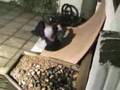 Worthing BMX