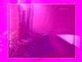 Lube Phaya Resort Lube Phaya Resort