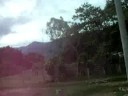 en la combi parrandera