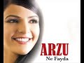 Arzu Şahin - Halaylar (2008)