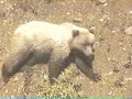 Alaska road trip 2001 part 2 Alaska road trip 2001 part 2