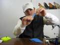 Cutting & Preparing Bucktail For Tying Saltwater Flies