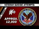 17 Vets a month commit suicide, under VA care 17 Vets a month commit suicide, under VA care