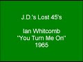 Ian Whitcomb - You Turn Me On