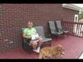 4 Paws For Ability - A Day In The Life, Autism Service Dog