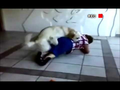 Imagen de previsualización de YouTube
