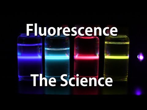 fluorescent - In this video we explore the colorful science of fluorescence. A really cool way to play with fluorescence at home is get a blue or violet laser pointer and ...